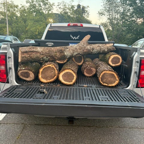 Pickup truck loaded with cut fallen timber after a Bear Creek cleanup job